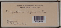 Image Associated With the Occurence